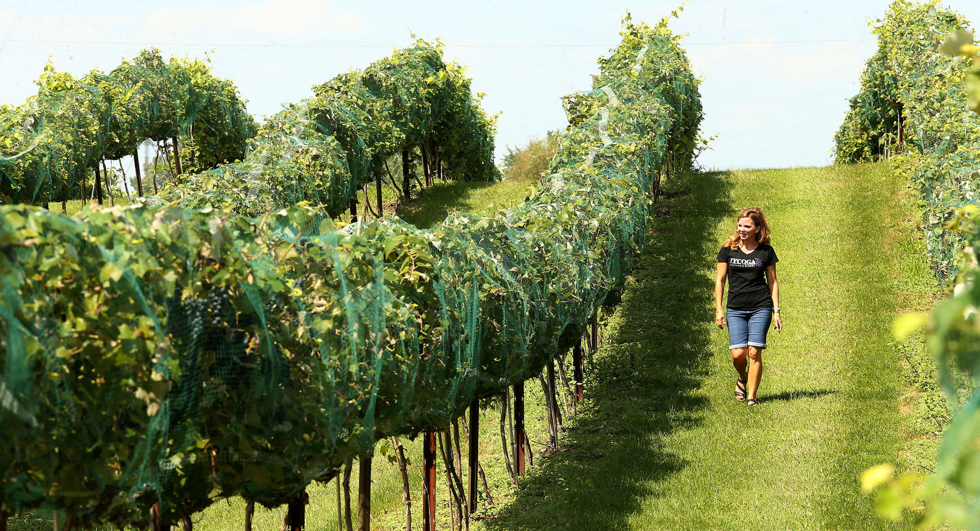 082218-big-story-winery-021